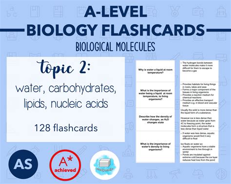 Biology Flashcards 